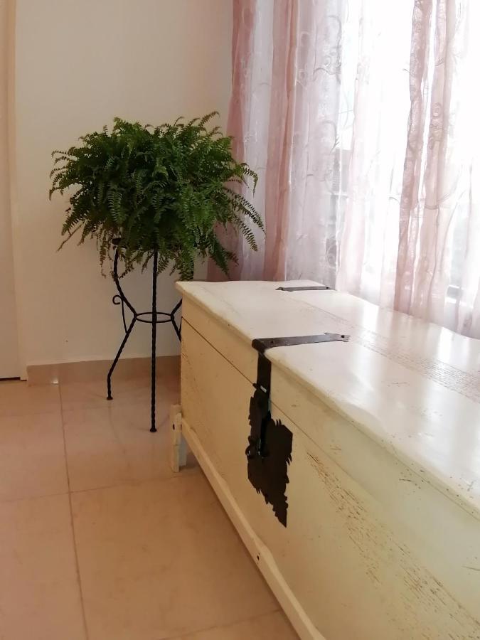 Departamento Alejandro - Completo Y Amplio Departamento En Una Zona Muy Tranquila De La Cdmx مدينة مكسيكو المظهر الخارجي الصورة